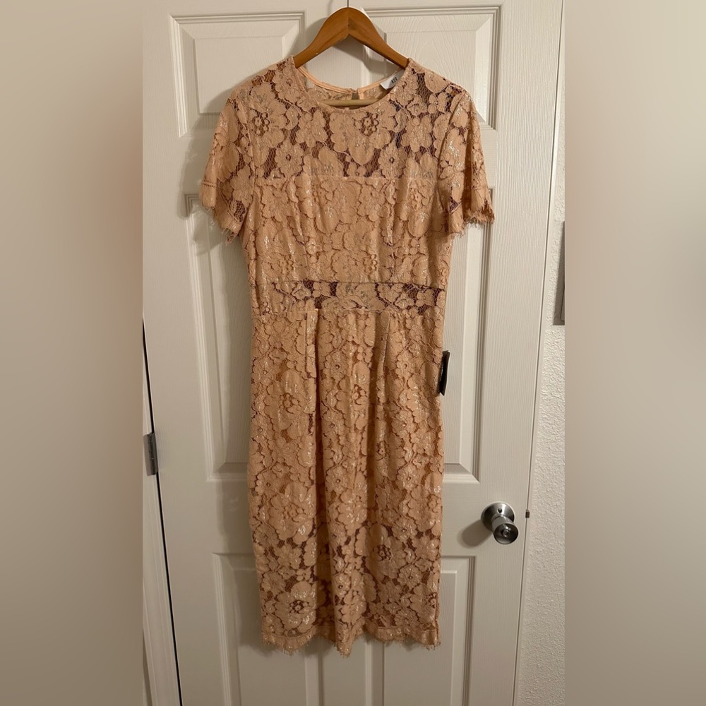 Women’s Lace Midi Dress in Nude